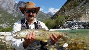 Dmitry Marble trout April Slovenia fly fishing 2017